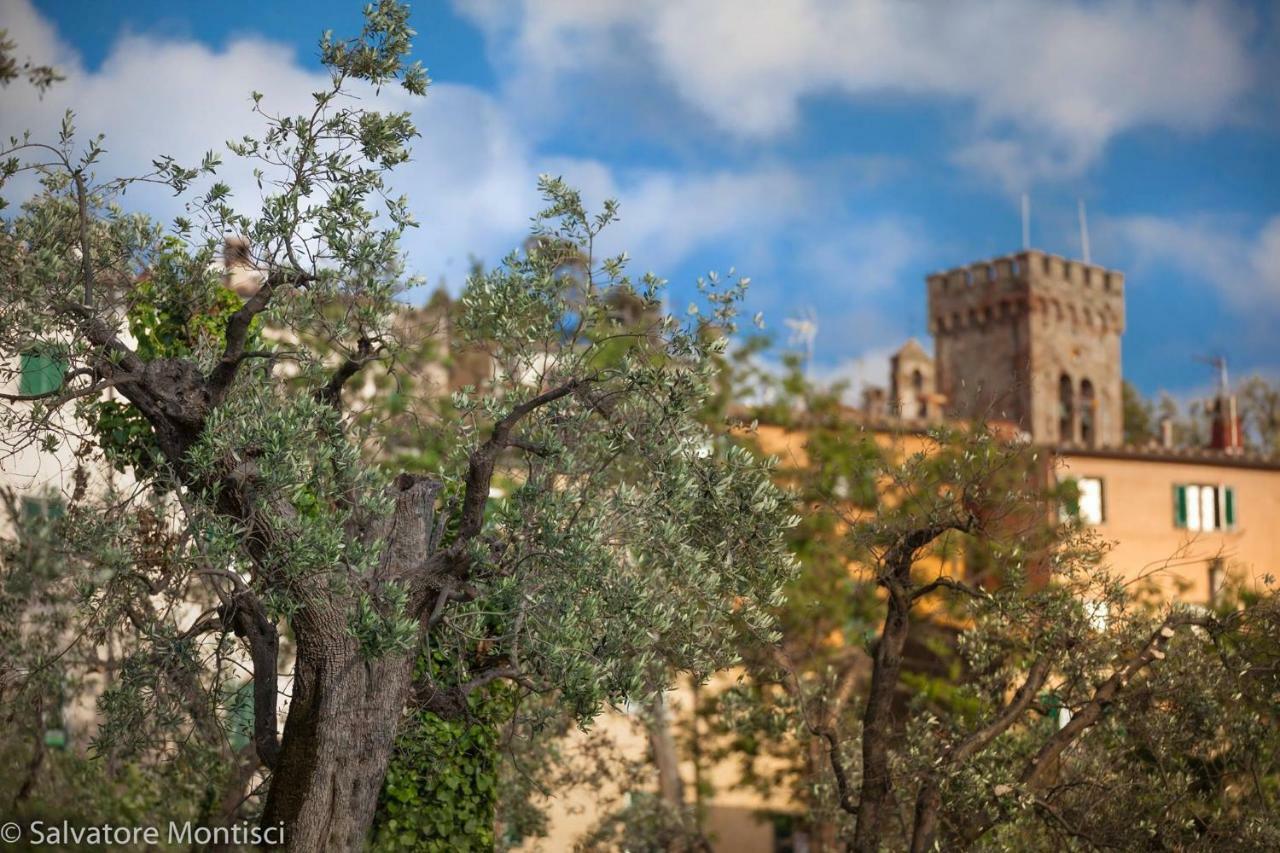 Acacia Casetta Con Giardino Donoratico Kültér fotó